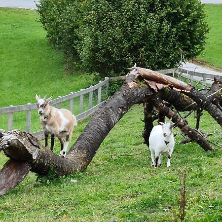 Apartmán Gut Mitterlehen Elsbethen Exteriér fotografie